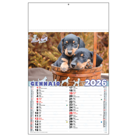 CALENDARIO DA MURO 14X47